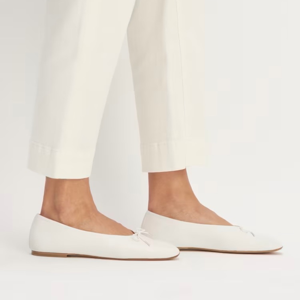 Everlane The Day Ballet Flat